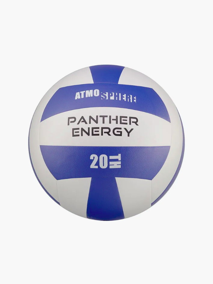 Волейбольный мяч Panther Energy